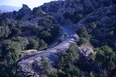 DSC_2106 (Large).JPG